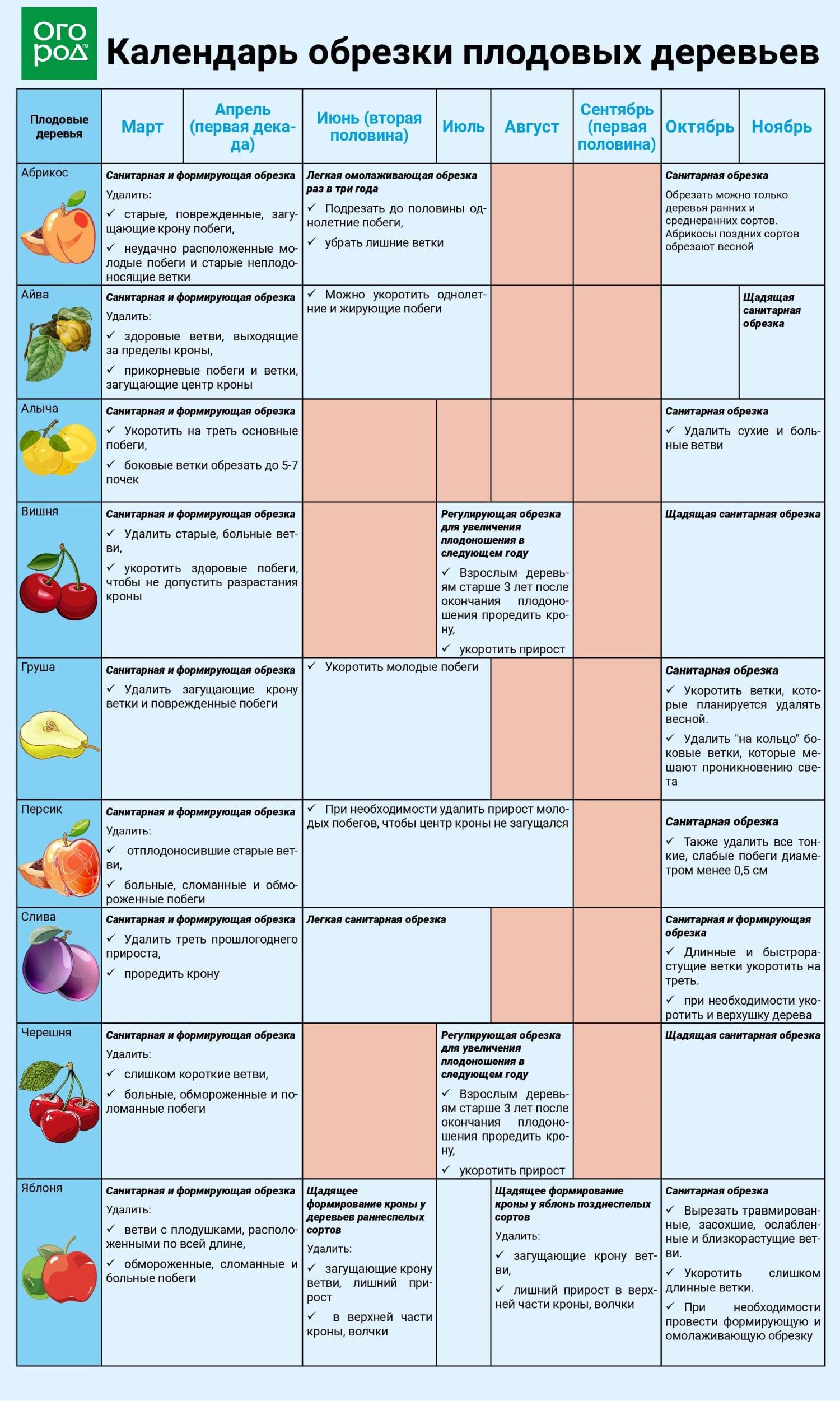 Обрезка плодовых в марте 2024. Таблица обрезки плодовых деревьев и кустарников. Календарь обрезки плодовых деревьев. Таблица обрезки плодовых деревьев. Сроки обрезки плодовых деревьев.