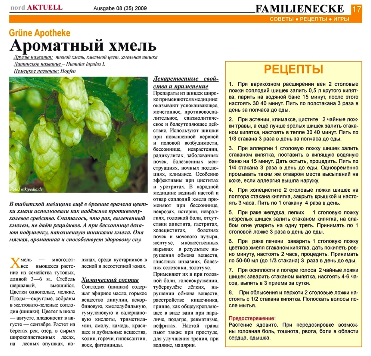 Почки хмеля