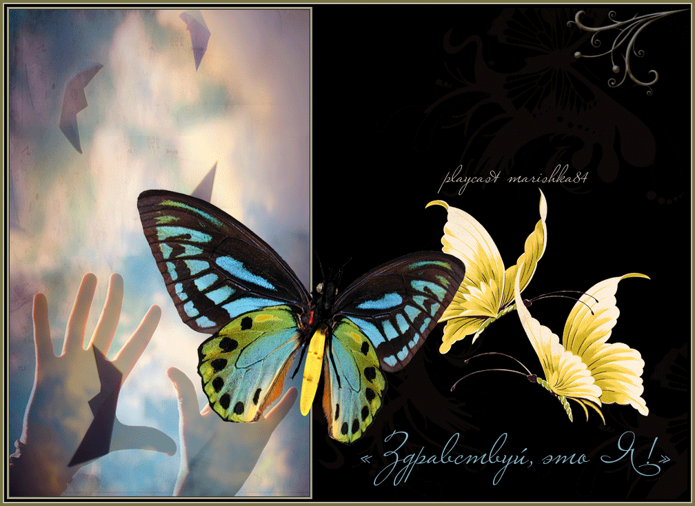 Тихо бабочки летают. Бабочки любовь. Спокойной ночи бабочки. Спокойной ночи любимая с бабочками. Вечер бабочки.
