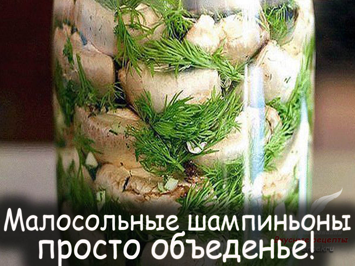 Малосольные шампиньоны на скорую руку