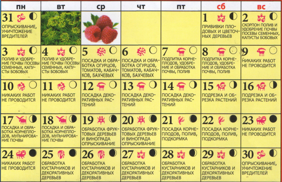 Можно ли сажать сегодня по лунному календарю. Лунный календарь. Календарь посева. Календарь посадок. Лунный посевной календарь.