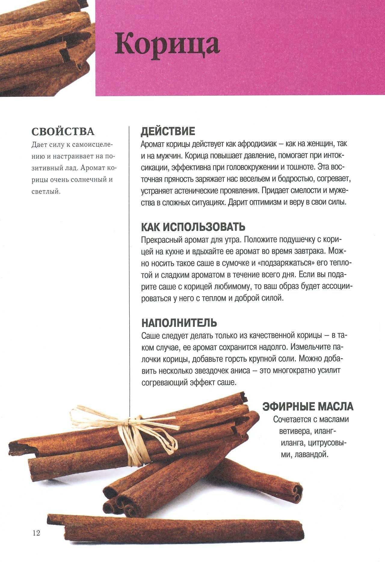 Все о корице и ее целебных свойствах
