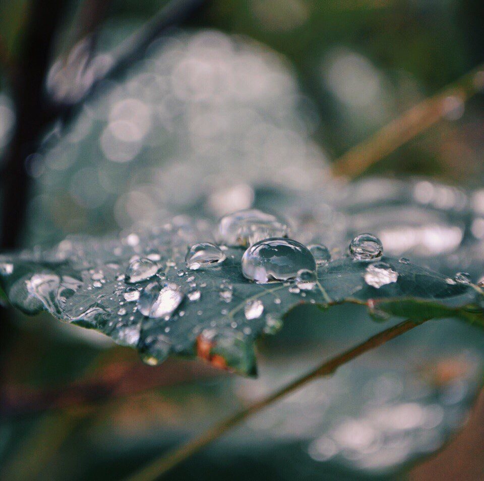 Звук свежесть. Свежесть после дождя. Красота дождя. Дождь свежесть. Воздух после дождя.