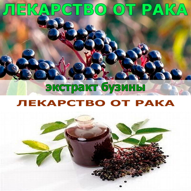 Лекарство от рака