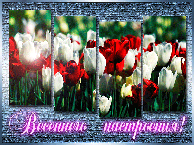 Picture background