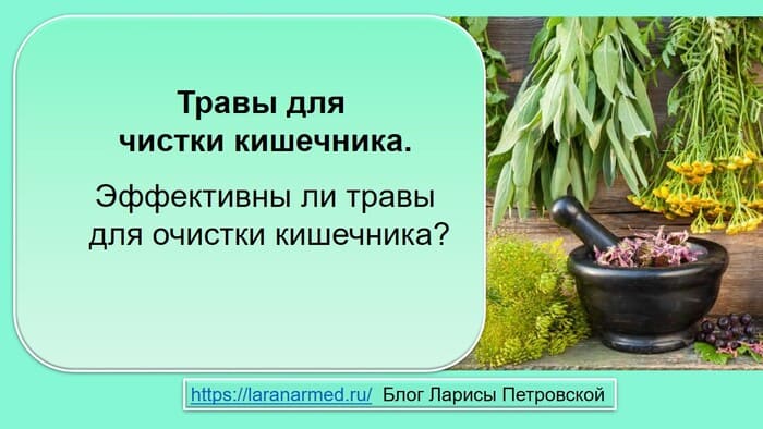 Травы для чистки кишечника. Эффективны ли травы для очистки кишечника ...