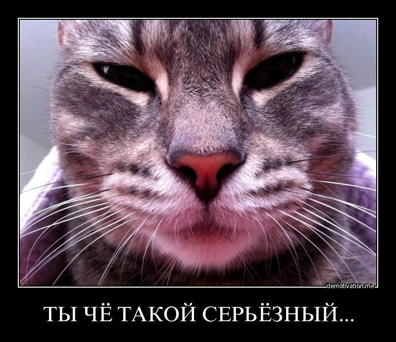 Будь Серьезнее Картинки