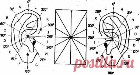 Р.А. Дуринян. Физиологические основы аурикулярной рефлексотерапии.