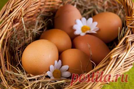 5 полезных советов по приготовлению яиц.