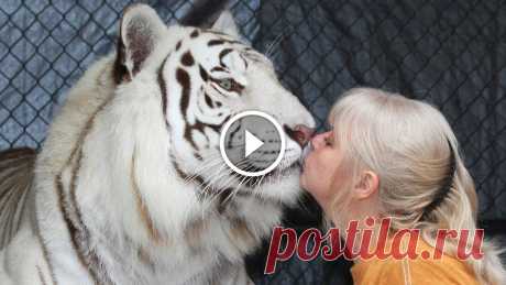 Florida Woman Keeps Bengal Tigers In Her Garden