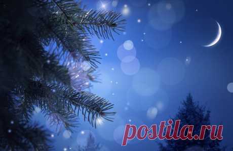 Ель, филиал, дерево, иглы, ночь, боке, месяц, Рождество, новый год вектор - ForWallpaper.com