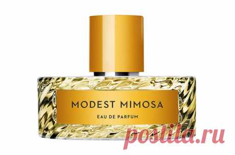 Modest Mimosa, Vilhelm Parfumerie

Хочется чего-то более дерзкого? Мимоза в Modest Mimosa не так уж и проста, ведь тут она существует в компании пудры, кожи и моркови (представь себе!). У этой парфюмерной воды определенно есть характер! Как думаешь, уживется ли он с твоим?