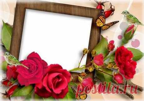 Frame for photoshop March 8 ( free photo frame psd free photo frame png,  ). Transparent PNG Frame, PSD Layered Photo frame template, Download.