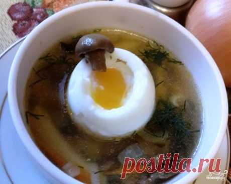 Суп из свежих волнушек - пошаговый кулинарный рецепт на Повар.ру