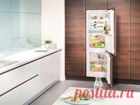 Какой холодильник лучше выбрать - Журнал полезных советов