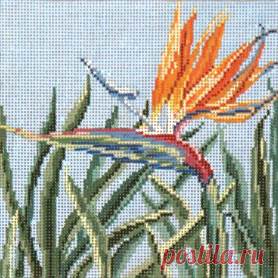 Bird of Paradise Adorable high-quality Bird of Paradise. The Needlepointer is a full-service shop specializing in hand-painted canvases, thread fibers, needlepoint books, accessories, needlepoint classes and much more.