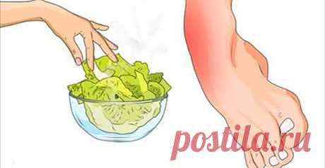 Польза для здоровья от капусты! - Интересный блог Вкусный и полезный овощ! Один широко распространенный крестоцветный овощ, который часто упускают из внимания — это капуста. Капуста содержит волокно,