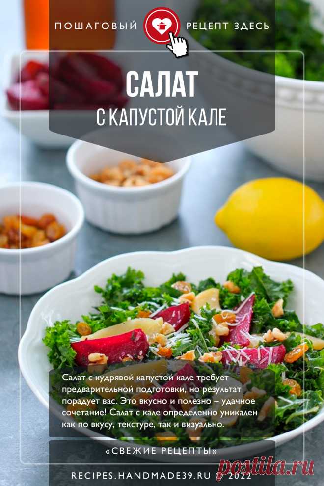 Салат с капустой кале, свёклой и яблоками – вкусно и полезно. Пошаговый рецепт с фото приготовления салата с капустой кале, запечённой свёклой, яблоками, орехами и изюмом в винегретной заправке. Салаты правильного питания. Здоровое питание. #свежиерецепты #рецепт #салат #кале #капуста