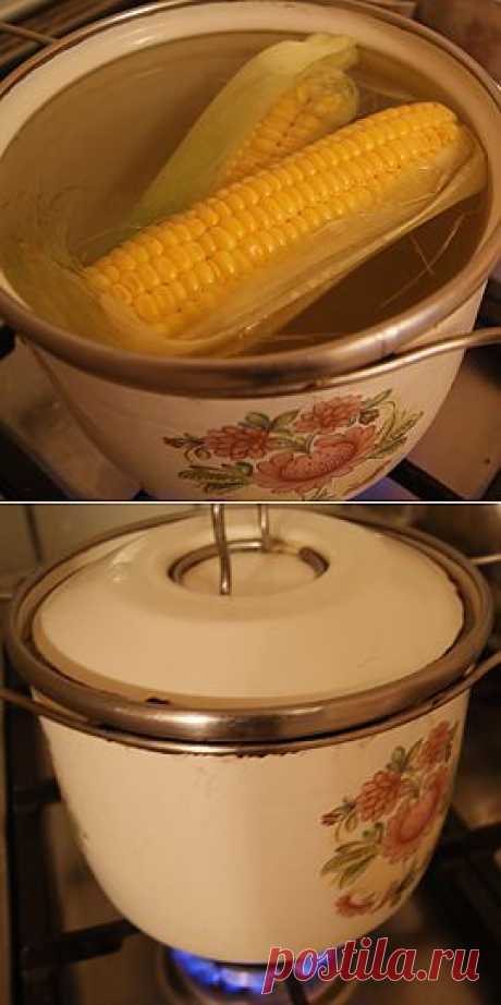 Как варить кукурузу. Сколько варить кукурузу. Узнайте, как варить кукурузу в кастрюле и пароварке. Сварите кукурузу правильно по фото. Отварите кукурузу вкусно. Как варить молодую кукурузу в кастрюле. Кукуруза в початках.