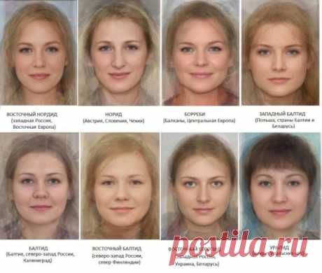 Типы внешности женщин Восточной и Южной Европы | Это интересно - забавные новости