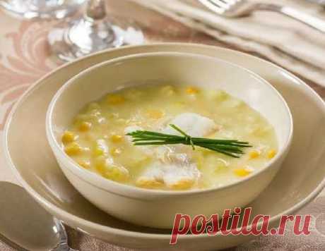 Американский крем-суп чаудер с кукурузой — рецепт классический | maggi.ru