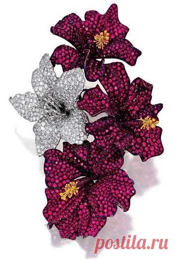 Ruby and Diamond Brooch