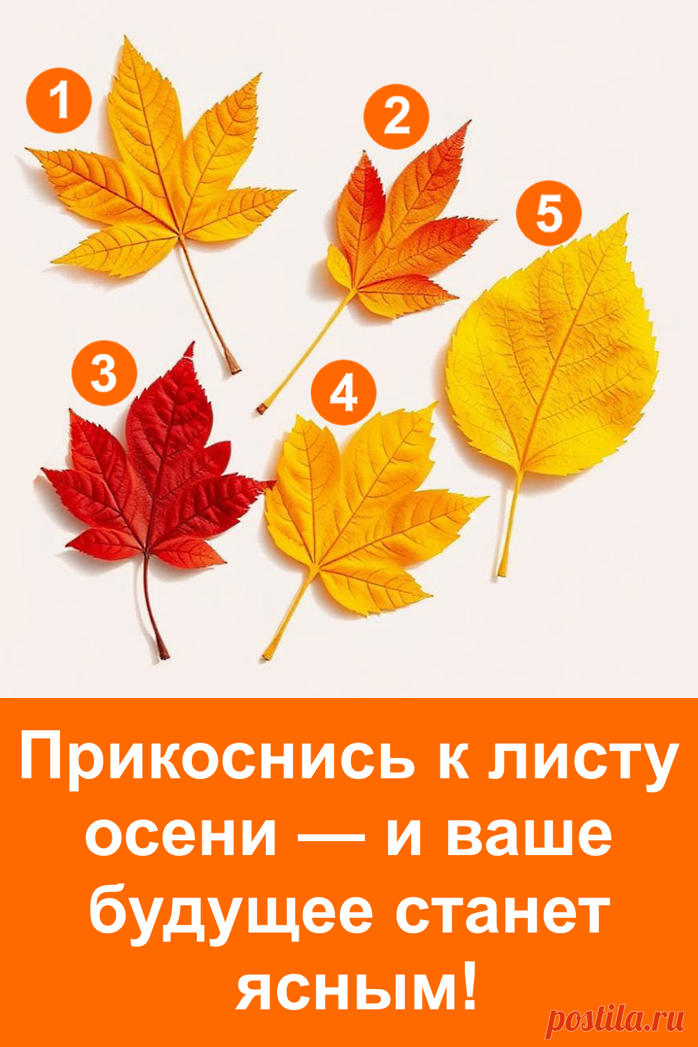 Осень тихо напоминает о своих тайнах. Один лист может стать символом того, что ждёт впереди, словно шепчет вам что-то важное.