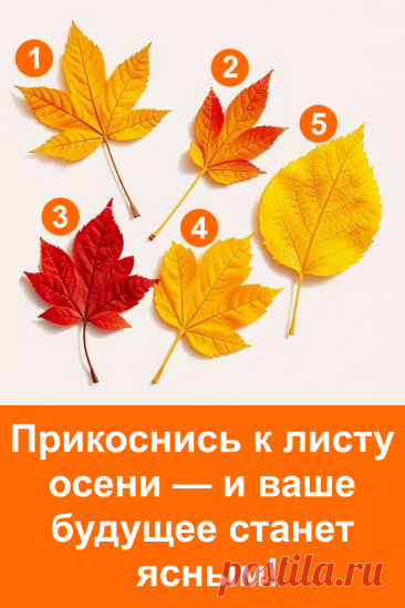 Осень тихо напоминает о своих тайнах. Один лист может стать символом того, что ждёт впереди, словно шепчет вам что-то важное.