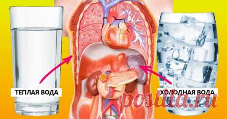 Теплая вода или холодная? Сделай выбор и проверь, что произойдет с твоим организмом. 8 из 10 ставят не на ту. - Женский Журнал Достаточно восьми стаканов воды в день, чтобы быть здоровым, сильным, да еще и прожить до 100 лет! Так говорят на каждом шагу. И мы, следуя совету, вносим в расписание напоминания, считаем стаканы и ждем результатов. Казалось бы, тут запутаться вообще невозможно, это ведь обычная вода. Но подвох есть всегда. Не ждите результатов, если вы пьете не …