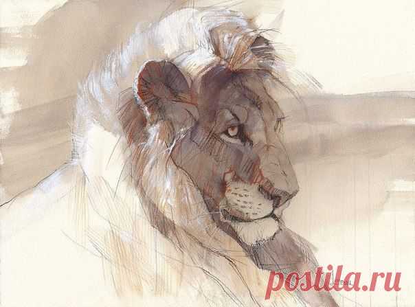 Серия “Львы“ от художника-анималиста Anne London / Удивительное искусство