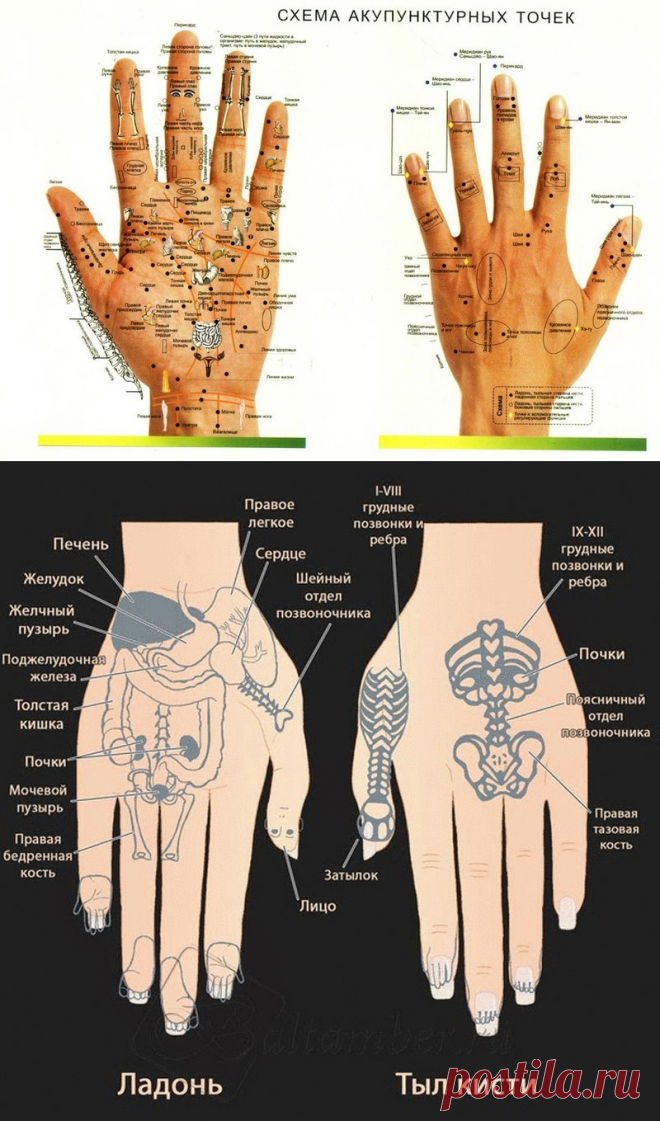 Китай точка. Китайская медицина точки на руке. Акупунктурные точки на крестце. Акупунктурные точки печени. Акупунктурные точки печени на руке.