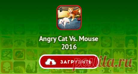 Angry Cat Vs. Mouse 2016