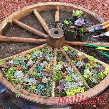 What an amazing gardening idea! | Deloufleur Decor &amp; Designs | (618) 985-3355 | www.deloufleur.com | OUTDOORS LIVING &amp;, GARDENING I | Сады, Клумбы …