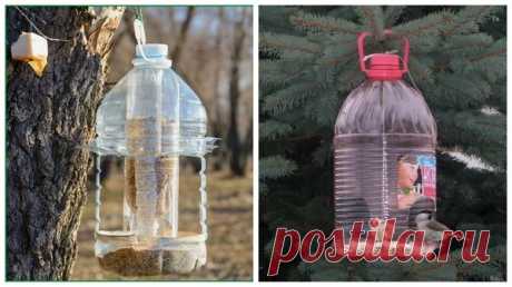 5 вариантов использования пластиковых бутылок в огороде. Часть 1 | Урожайный огород | Яндекс Дзен