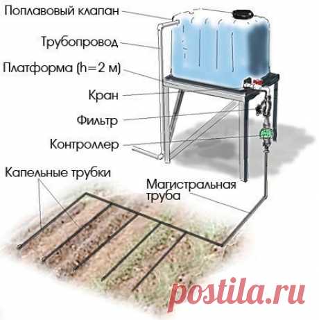 Как сделать простейший капельный полив из бочки?

Не переживайте, ведрами черпать воду из бочки и носить ее на огород не придется.

Есть более рациональные способы организации полива.

Например, капельный полив.
Изобретен этот способ был в Древнем Египте, где, как известно, проблема ирригации стоит очень остро. Однако, несмотря на почтенный возраст, данная технология не утратила актуальности и по сей день. Суть капельного полива в том, что вода подается к растениям не пери...