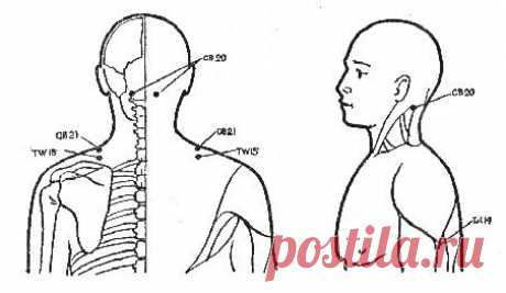 ВОСТОЧНЫЙ МАССАЖ ПРИ БОЛЯХ В ПЛЕЧЕВОМ СУСТАВЕ.

Массаж, проведенный в течение 10-15 минут, поможет снять боль и напряжение в области плеч и шеи. Если боли в плечах стали уже хроническими, то потребуется несколько сеансов массажа.

Точки для снятия боли и напряжения в области плечевого сустава:
Показать полностью…

Точка TW 15 (“божественное омоложение”). Симметричная точка, расположена примерно на 1 палец вниз от верхнего края плеч, в центре линии, идущей от бокового края ...
