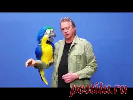 MEGA MACAW Parrot Puppet by Axtell