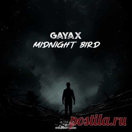 Gayax - Midnight Bird [Endlessky Audio]