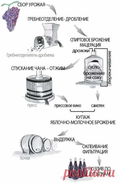 Как сделать вино из винограда в домашних условиях.