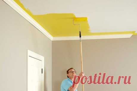 Как выбрать самую долговечную краску для стен и потолка