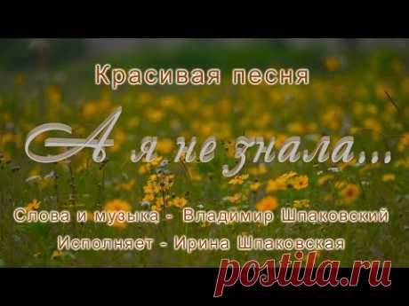 А я не знала. Красивая песня Владимира Шпаковского
А я не знала,
Что ты давно уже с другой.
Сирень завяла, любовь пропала
И не любима я тобой…