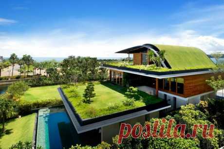 Планета Земля и Человек: «Зеленые» крыши домов, как элемент городской среды