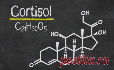 7 способов уменьшить уровень кортизола в вашем теле - Упражнения и похудение Важная информация! Гормон стресса, кортизол, является общественным «врагом номер один». Ученые уже много лет знают, что повышенные уровни кортизола: препятствуют обучению и памяти, снижают иммунную функцию и плотность костей, увеличивают прирост массы тела, кровяное давление, холестерин, сердечные заболевания … У этого списка нет конца. Наши тела производят кортизол при стрессе — побочный продукт ...