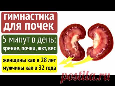 Быстрое оздоровление почек. Почечная гимнастика с разбором