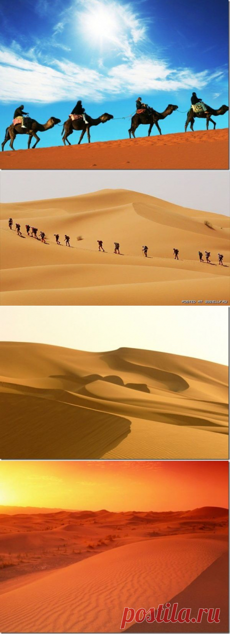 Пустыня Сахара фото
