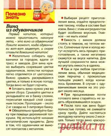 Вино из одуванчиков - секреты приготовления