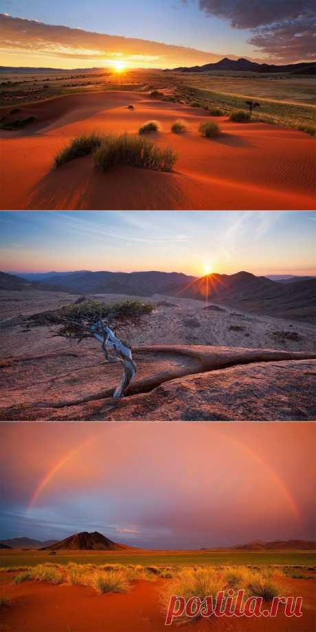 Фантастические пейзажи Намибии.
Хоугаард Малан, путешествуя по Африке, собрал огромную коллекцию фоторабот, посвящённую этому континенту. Ниже представлены фотографии, сделанные им в пустыне Намиб, которая занимает большую часть государства Намибия.