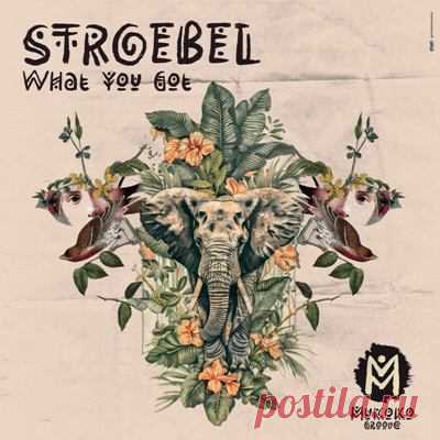 STROEBEL - What You Got (Extended Mix)