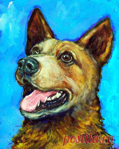 Australian Cattle Dog   Red Heeler  on Blue by Dottie Dracos Australian Cattle Dog   Red Heeler  on Blue Painting by Dottie Dracos