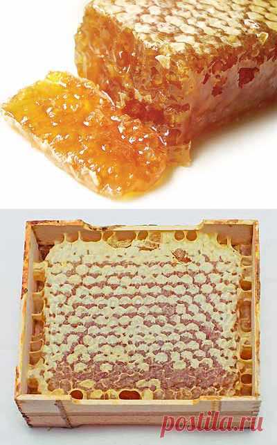 Сотовый мед - действительно полезен? | Мое подворье